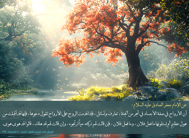 انّ الأرواح في صفة الأجساد في شجر من الجنّة