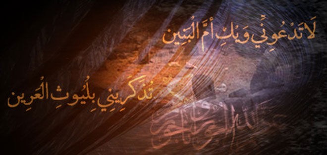 banner-omalbanin01